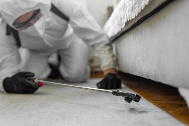 Professional Bed Bug Control technician working in Ennis, TX