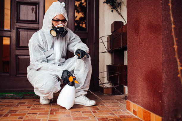 Reliable Bed Bug Control contractor in Ennis, TX by Nex Pest Control